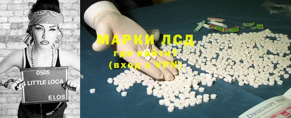 шишки Осташков