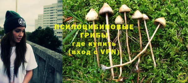 ALPHA PVP Алексин